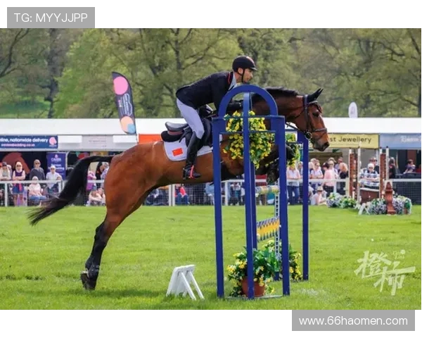 亚运会马术比赛：展现骑术与团队精神的精彩盛宴